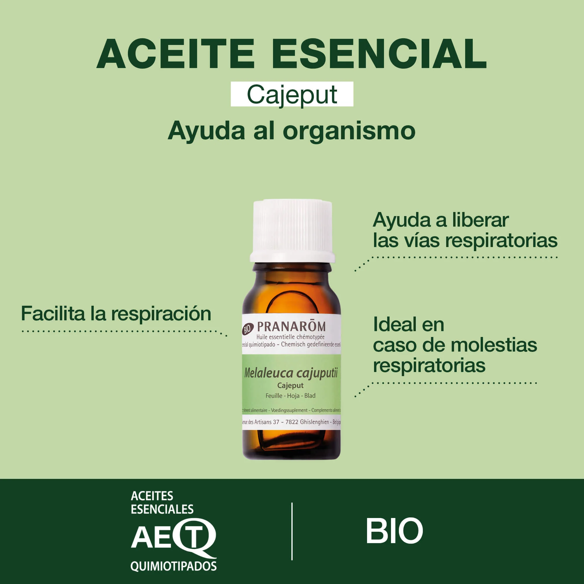 Imagen del producto 2